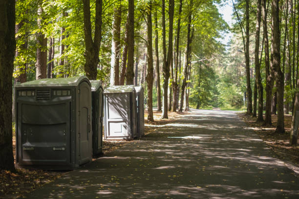 How Our Tree Care Process Works  in  Elroy, NC